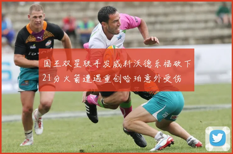 国王双星联手发威科沃德乐福砍下21分火箭遭遇重创哈珀意外受伤