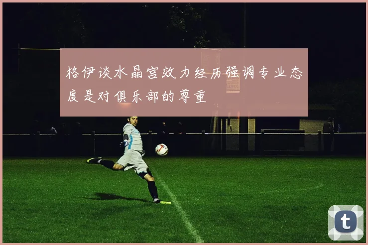格伊谈水晶宫效力经历强调专业态度是对俱乐部的尊重