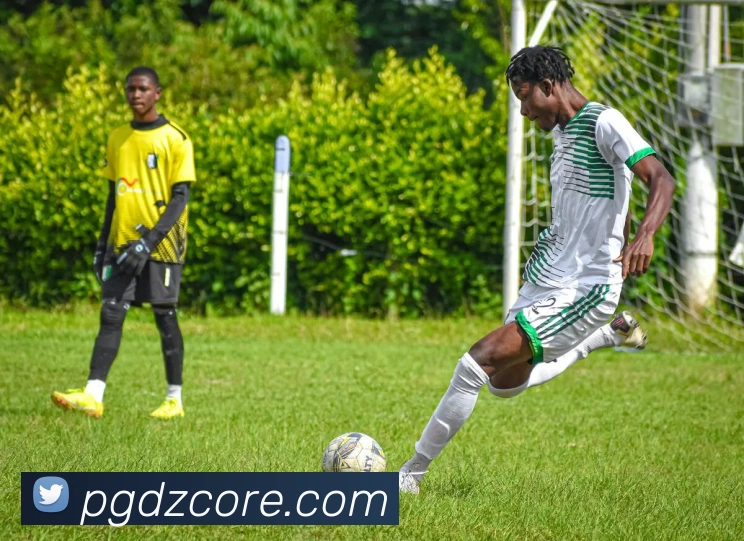 PG电子模拟器品牌故事